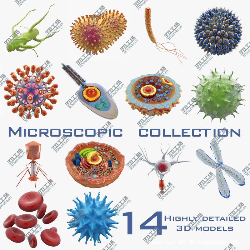 images/goods_img/20210313/Microscopic Collection/1.jpg